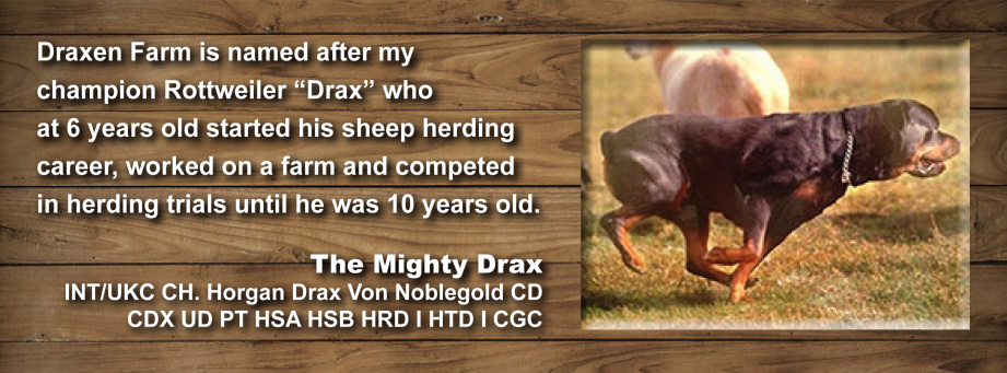 Draxen Farms named after Drax Horgan